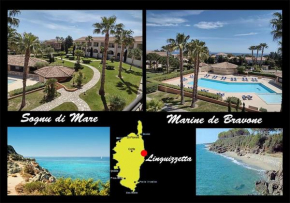 Corse Appartement vue mer - Linguizzetta - Marine de Bravone